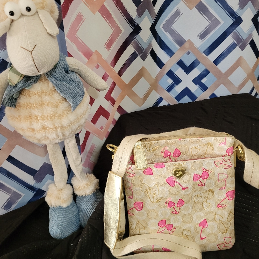 Coach Crossover Bag